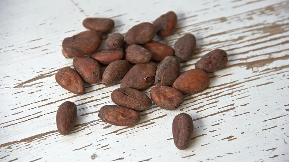 Fèves de cacao torréfiées